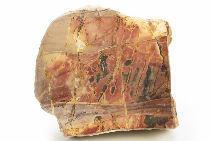 Polished Cherry Creek Jasper - China #318975